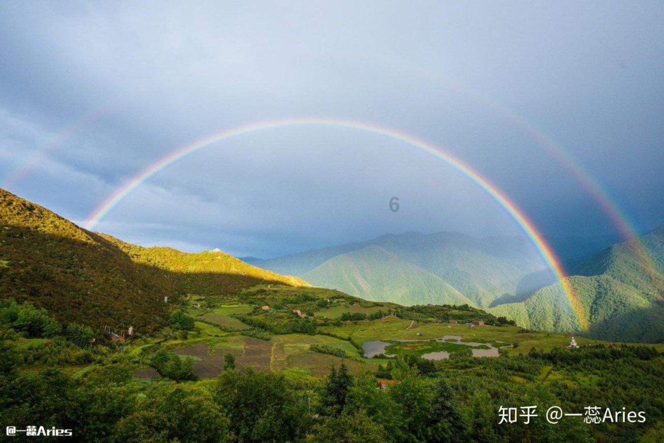 干猴头菇怎么泡发不苦?游戏画面