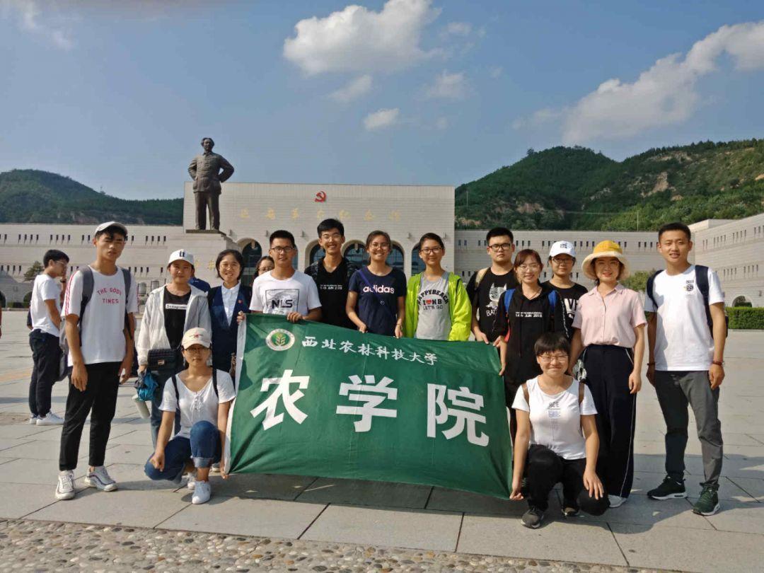 飞跃沙丘的小球